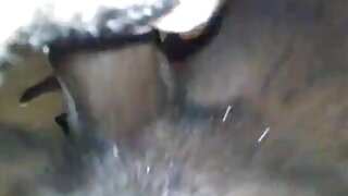 கட்டுப்பட்ட செயலாளரா ...