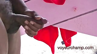 கார்னிவல் ஃபக்கிங் ஜ ...